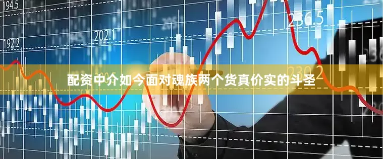 配资中介如今面对魂族两个货真价实的斗圣