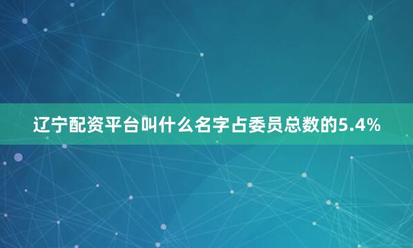 辽宁配资平台叫什么名字占委员总数的5.4%