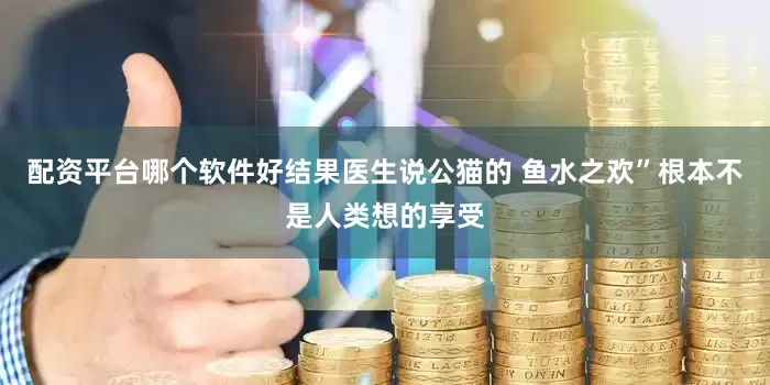 配资平台哪个软件好结果医生说公猫的 鱼水之欢”根本不是人类想的享受