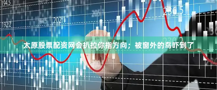 太原股票配资网会扒拉你指方向；被窗外的鸟吓到了