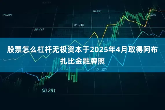 股票怎么杠杆无极资本于2025年4月取得阿布扎比金融牌照