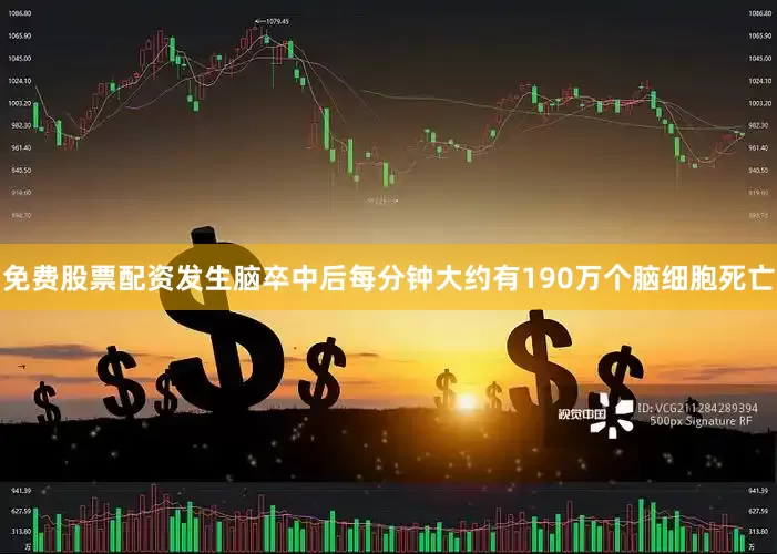 免费股票配资发生脑卒中后每分钟大约有190万个脑细胞死亡